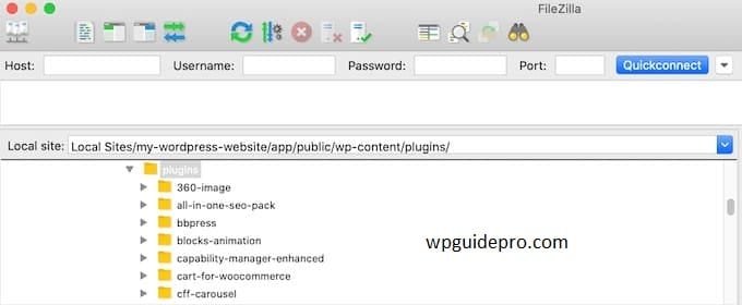 Access WordPress Core Files