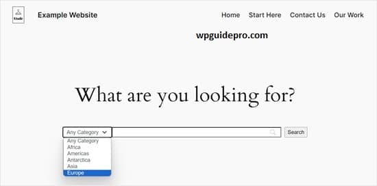 Add Search by Category in WordPress Blogs