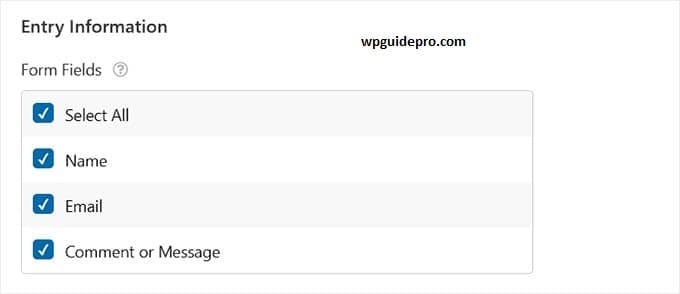 Form Fields and Apply Entry Filters