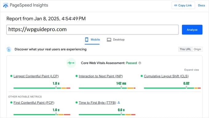 Google PageSpeed ​​Insight analyze