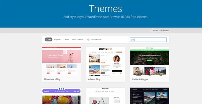 WordPress Theme