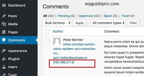 IP addresses on the Comments pag