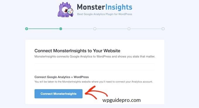 Monster Insights connect