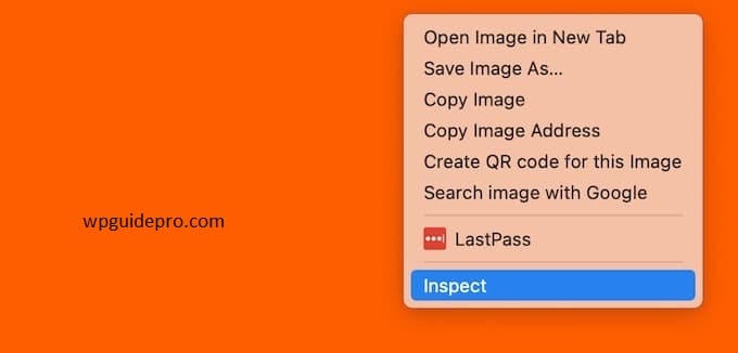 inspect