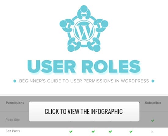 user roles